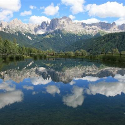 乐鱼APP下载手机版